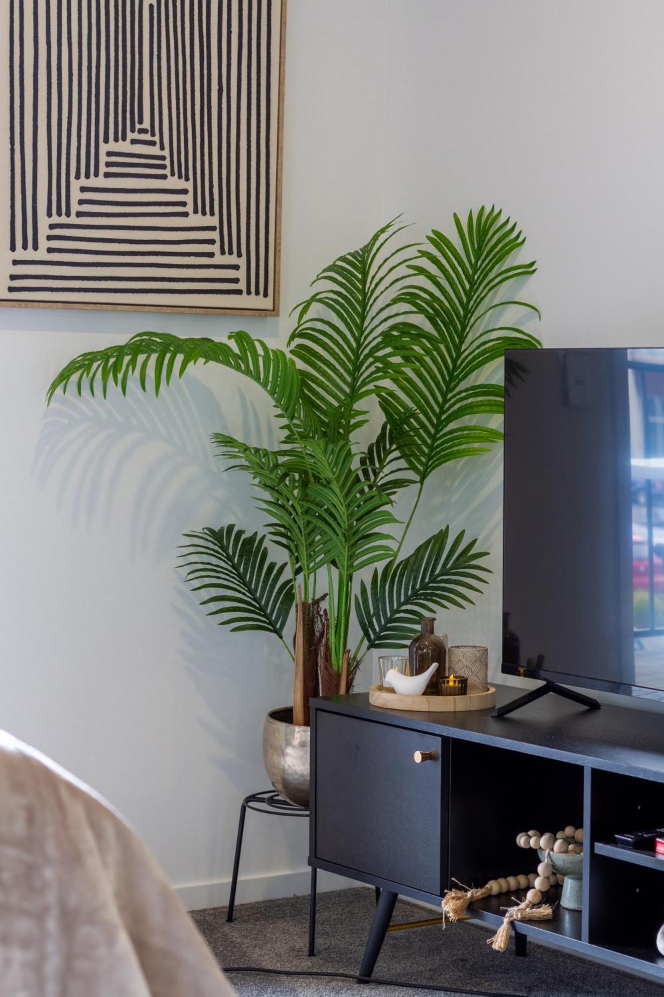 Luxurious Studio Prime Location City Centre Christchurch Dış mekan fotoğraf